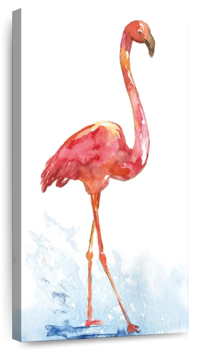 A Flamingo Splash I Wall Art