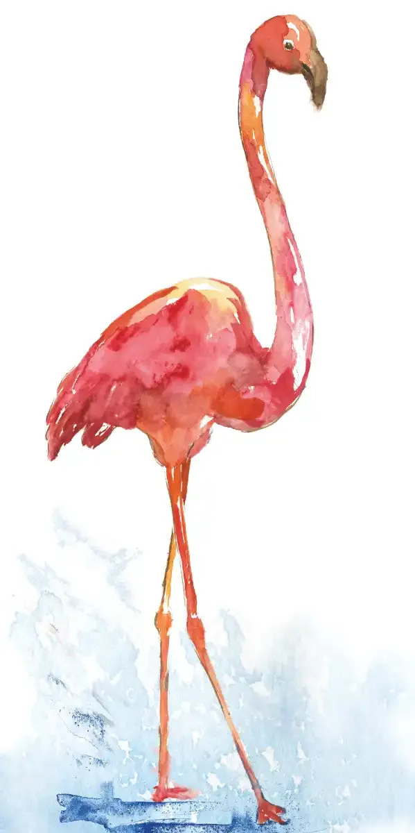 A Flamingo Splash I Wall Art