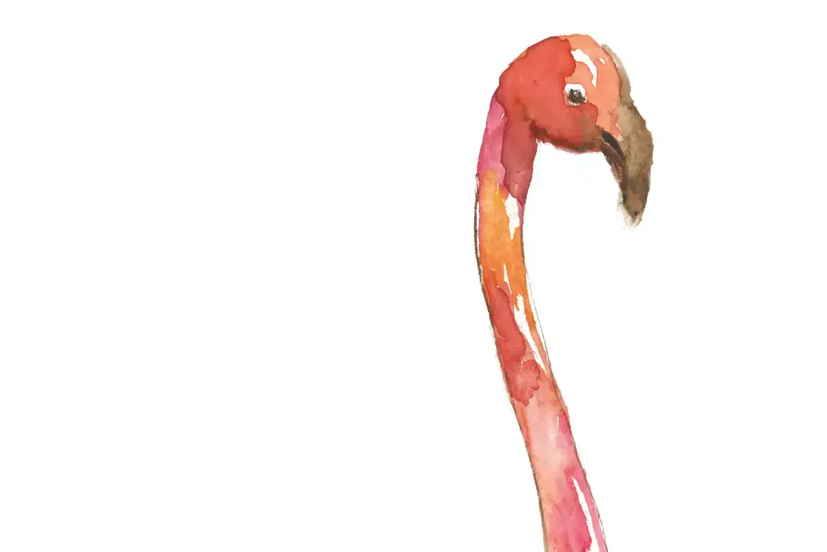 A Flamingo Splash I Wall Art