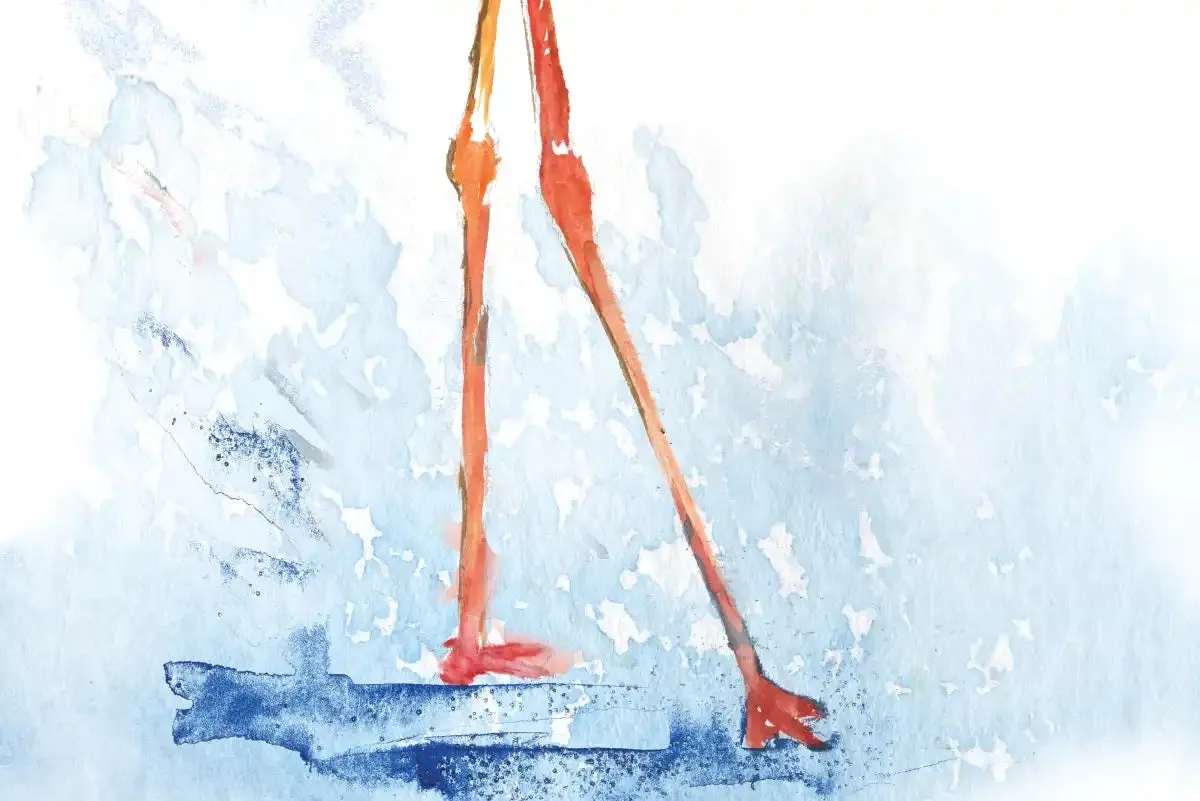 A Flamingo Splash I Wall Art