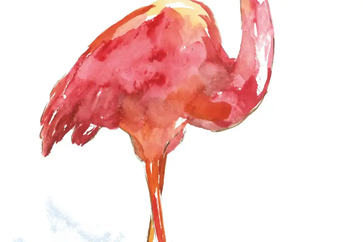 A Flamingo Splash I Wall Art
