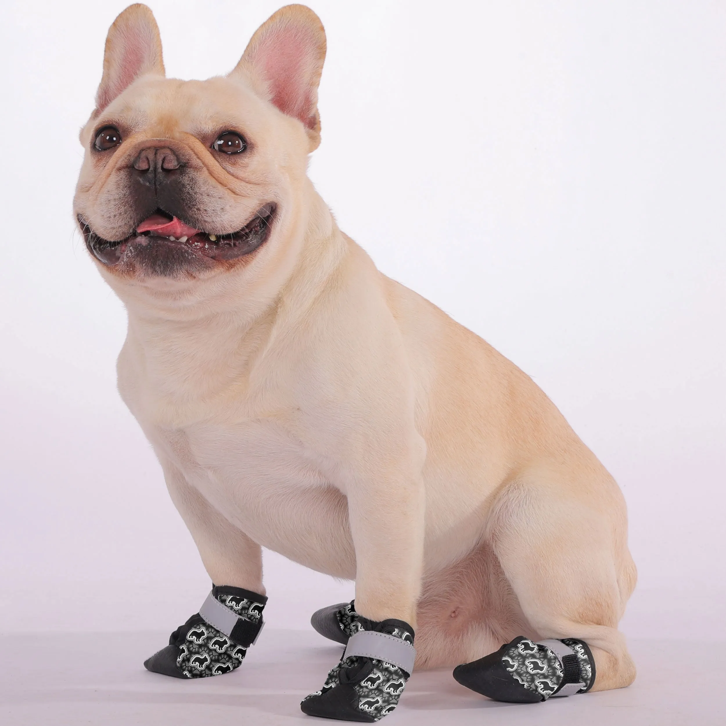 Basil - Premium Dog Socks & Boots for French Bulldogs