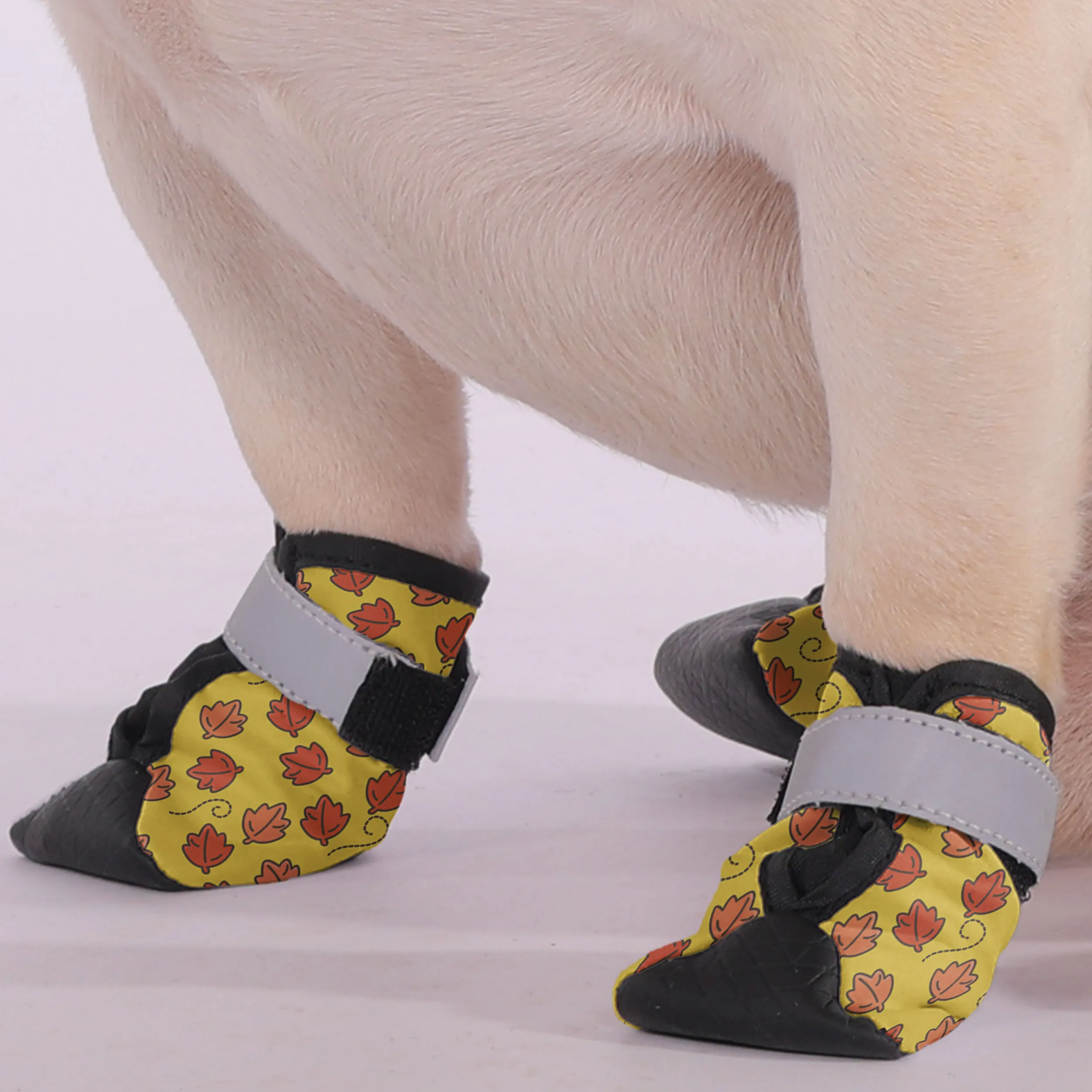 Duncan - Premium Dog Socks & Boots for French Bulldogs