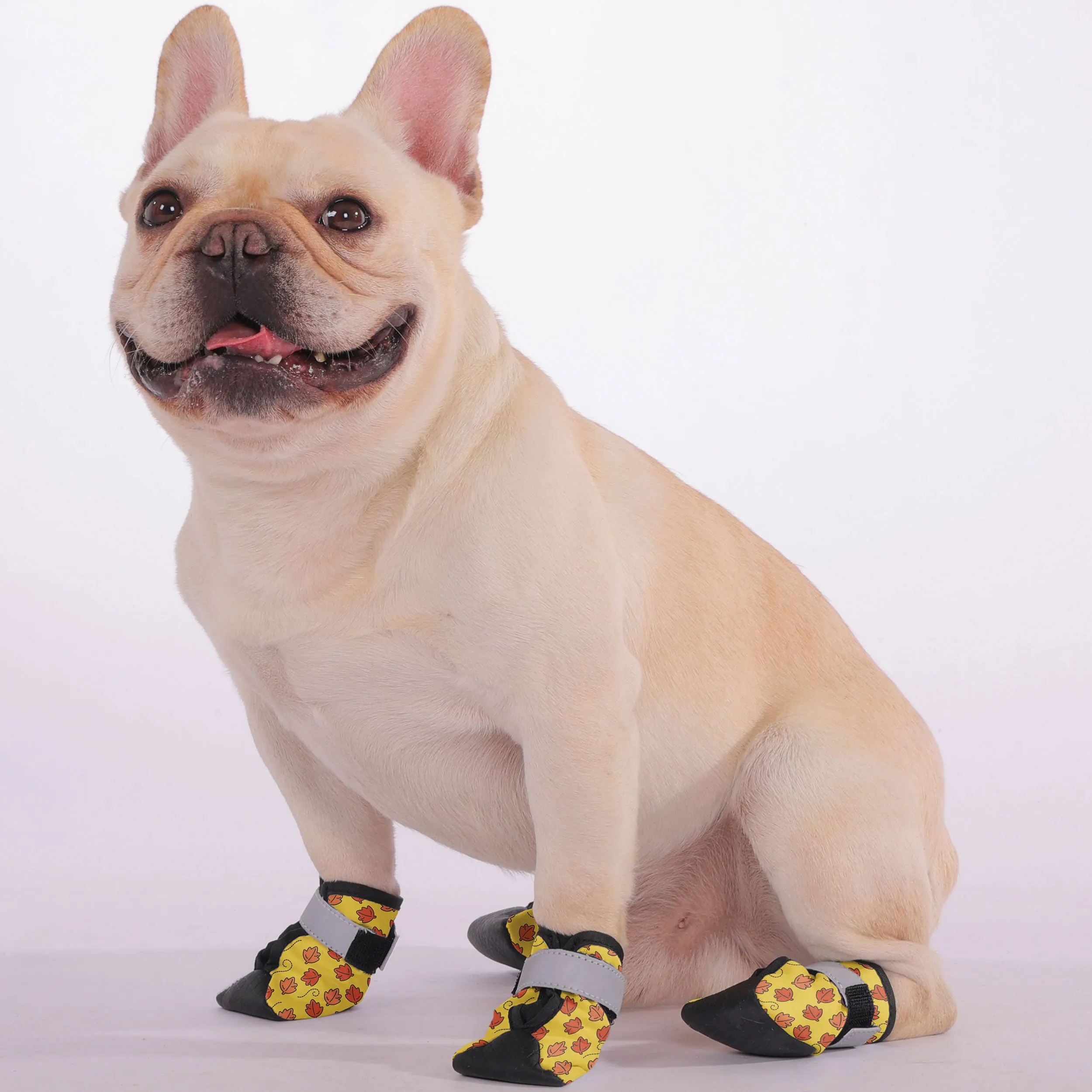 Duncan - Premium Dog Socks & Boots for French Bulldogs