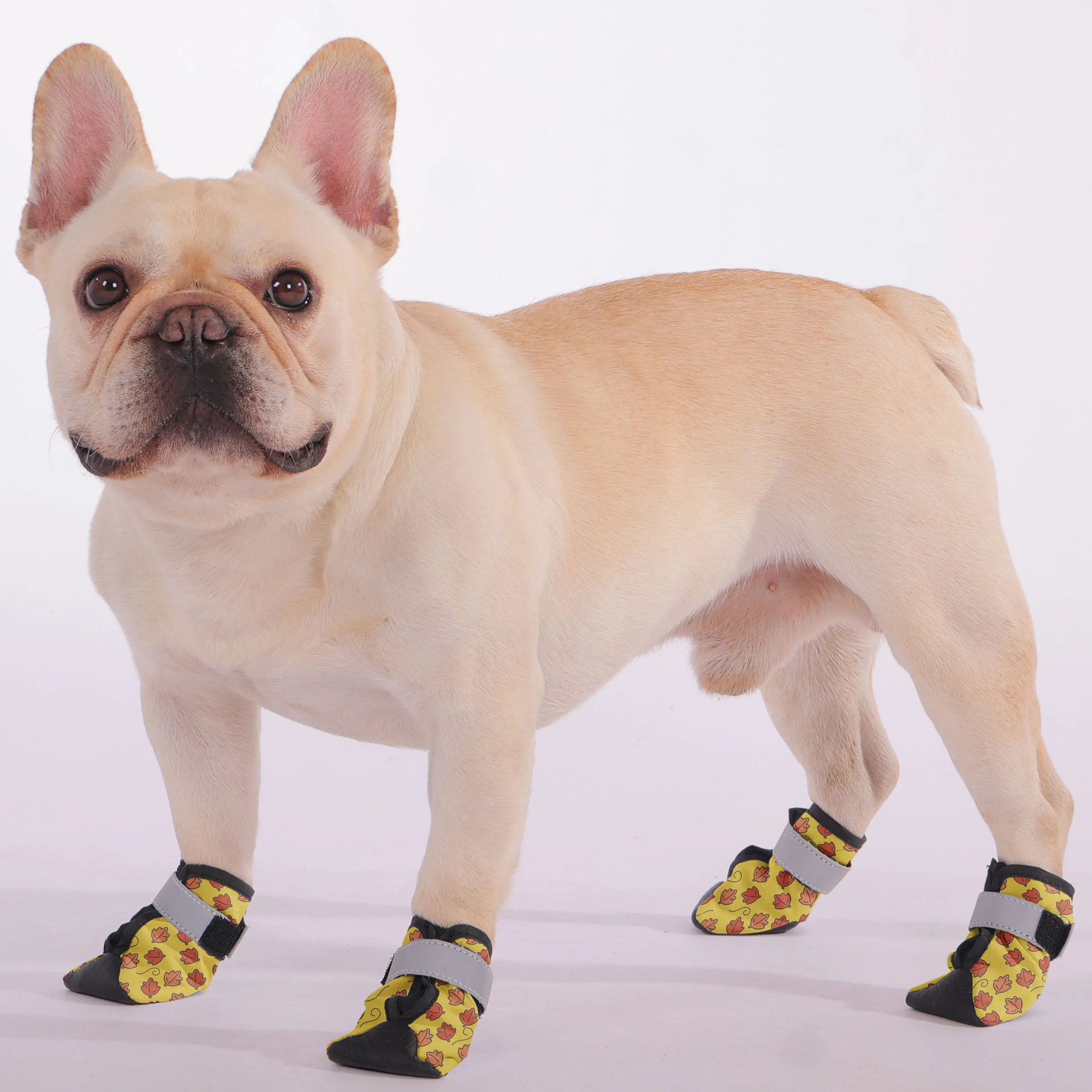 Duncan - Premium Dog Socks & Boots for French Bulldogs