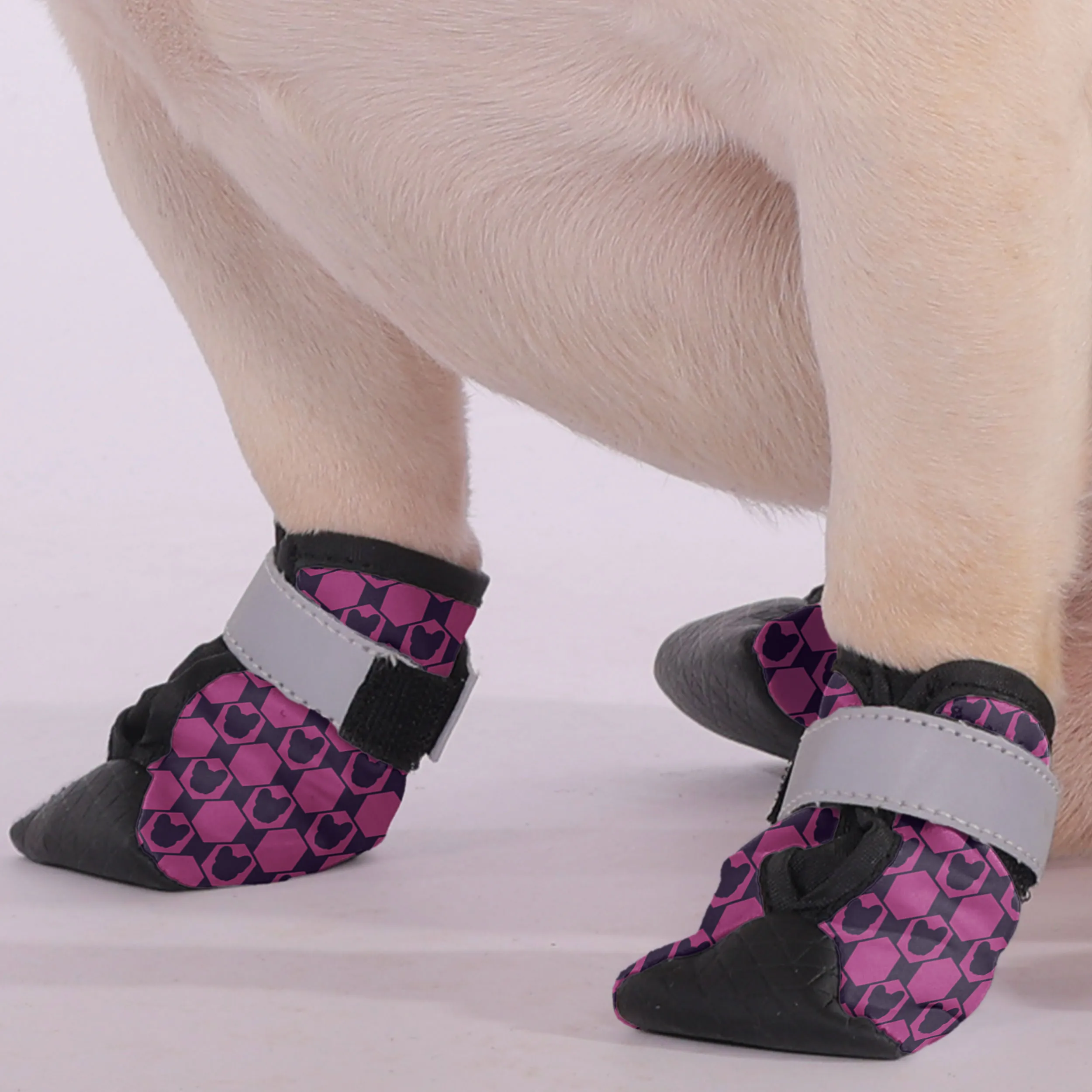 Romeo - Premium Dog Socks & Boots for French Bulldogs