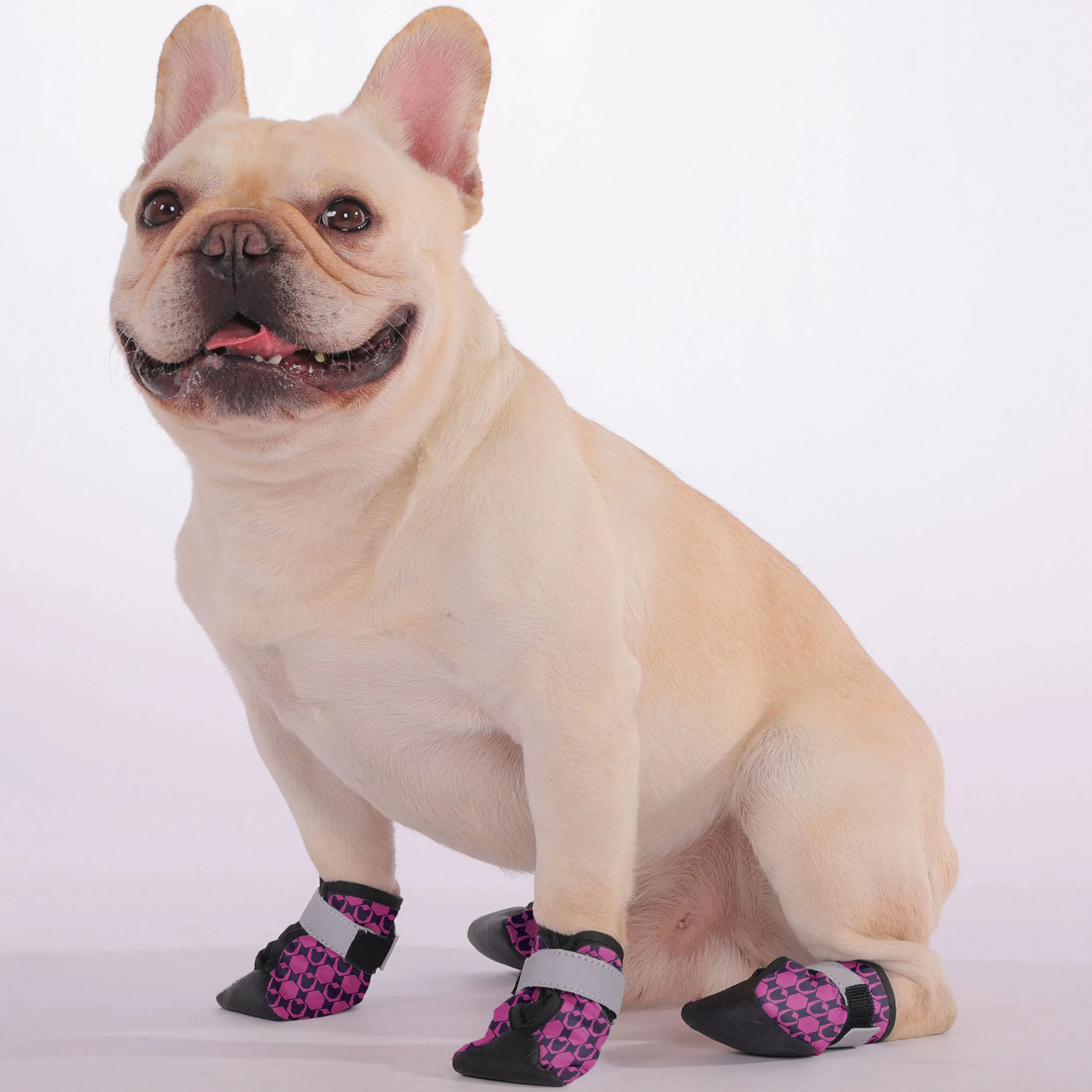Romeo - Premium Dog Socks & Boots for French Bulldogs